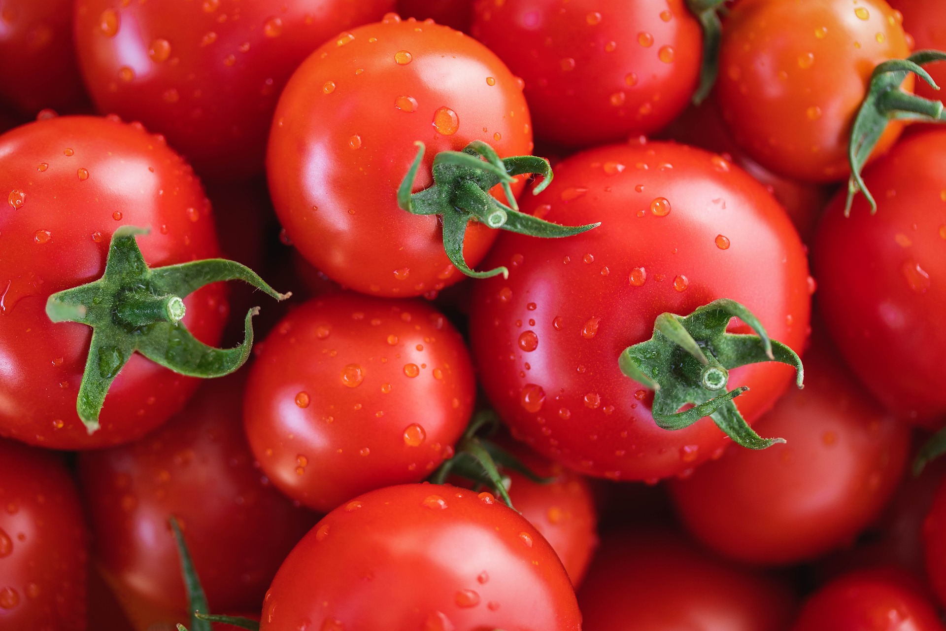 tomatos origionating from farmshop